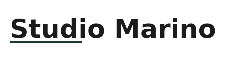 Studio Marino logo